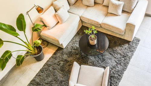 The Lynx Konitsa - Foto 2