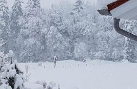 Ferienwohnung Moosegger - Foto 10