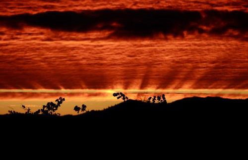 Résidence Le Petit Duc - Foto 57