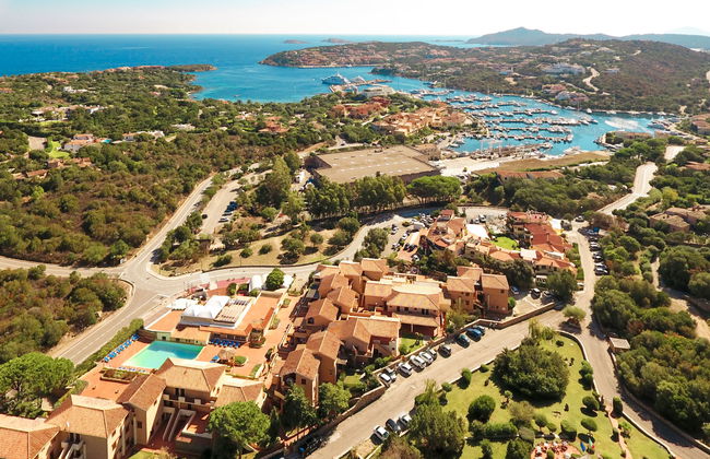 Bougainvillae Trilo Plus - Foto 2