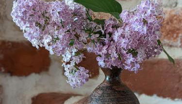 BacksteinFlair - LüneMitte - Photo 5