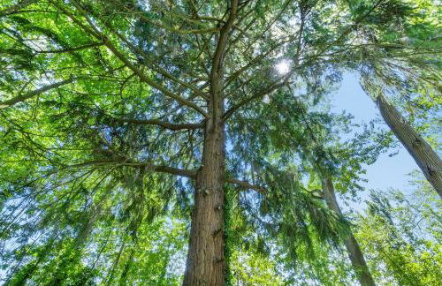 The Riverfront Retreat-Woods Landing - Foto 73