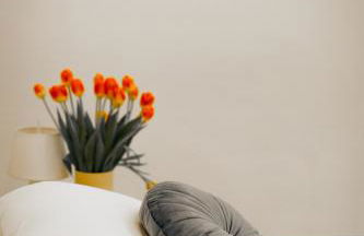 Belvedere 237B Lakeview Luxury Apartment - Foto 19