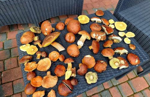 Domek de Janauis - Foto 72