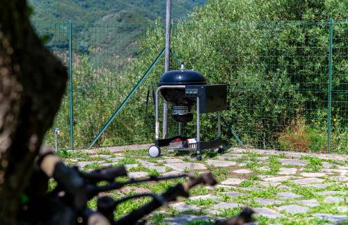 Ollie`s house - Foto 63