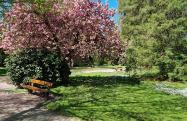 Relax City Apartments - Foto 10