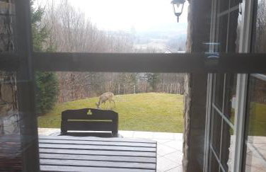 Dom w Beskidach - Foto 22