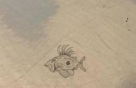 THE HYDE- secret hide away, near the beach. - Foto 48