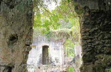 Casa Verde da Ari - Foto 10