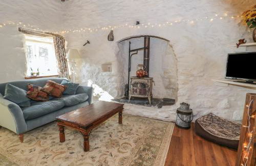 Old Ty'n Y Wern - Foto 4