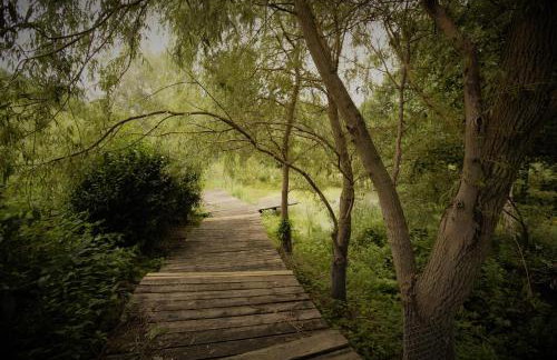 Domy Konesera - Foto 9