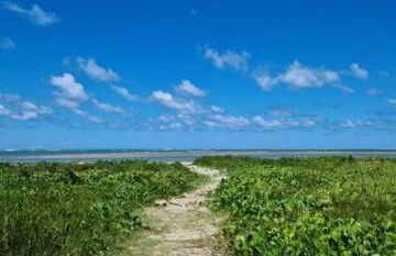 Casa Bela Vista - Foto 47