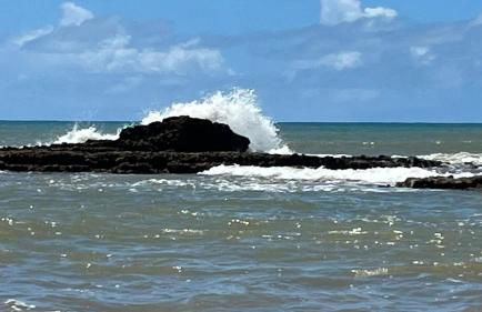 Quinta dos Samaniego - Chalés Rústicos e Suítes - Foto 18