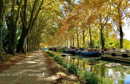 Studio Toulouse Capitole La Voute Rose - Photo 62