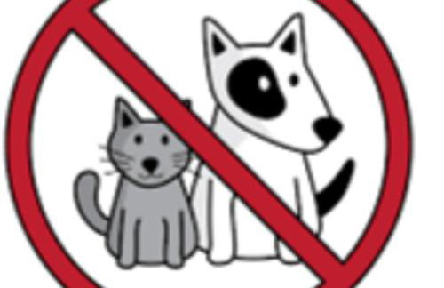 Stay Home & Away in the Heart of Historic Town of Malaga - Photo 17