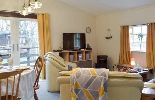 Owls About - Uk6756 - Photo 2