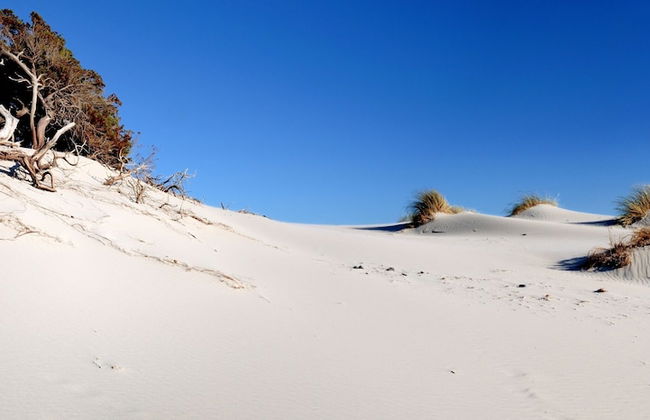 S'olivariu Village Guest House Swimming Pools Heart Of Sulcis - Foto 1