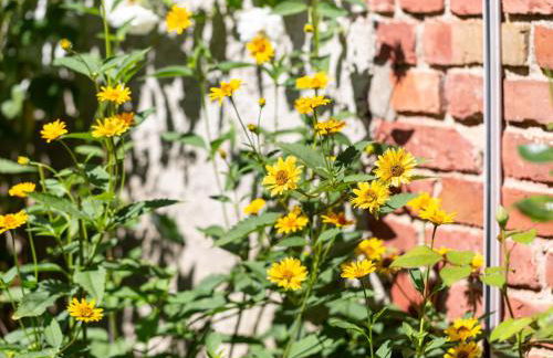 Ferienwohnungen an der Marina - Foto 9