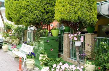 House Stella Tasos - Foto 39