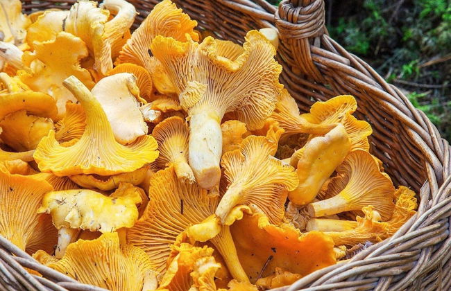 4 Person Holiday Home in Mora - Photo 7