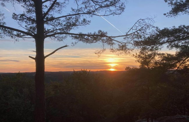 Lovely Apartment in Bollendorf near South Eifel Nature Park - Photo 37