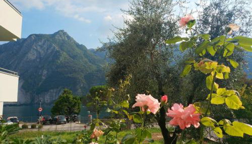 Maison de Carmen - Foto 2, Garden