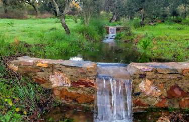 Las Huertas del Abrilongo - Foto 24