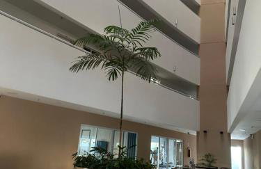 Aquarius Residence Vista Mar - Foto 24