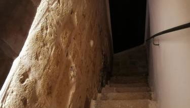 Stella Murgiana - Foto 4