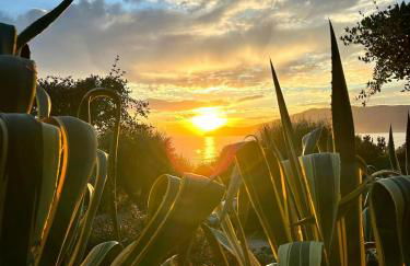 Terrazza sull Argentario - Foto 53