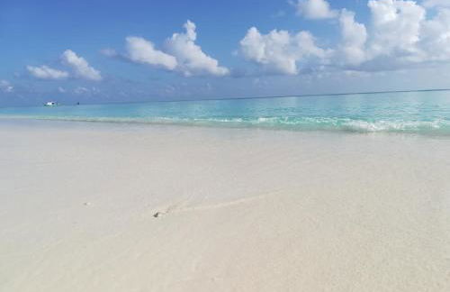 Masseria Le Terrazze di Serranova - Foto 18