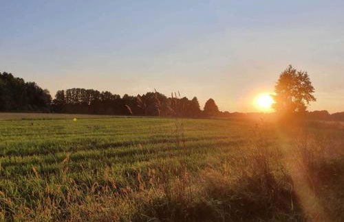 Spreedeich - Foto 31