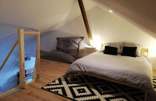 T2 Duplex Segré - Hyper centre - Wifi - Netflix - Photo 9