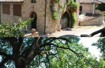 Fattoria di Mugnano - Foto 1