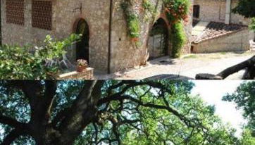 Fattoria di Mugnano - Foto 1