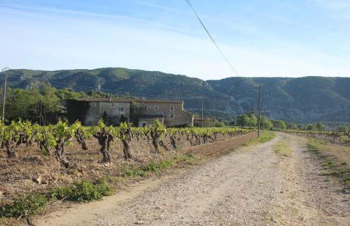 Les Guillaume Rey - Foto 11