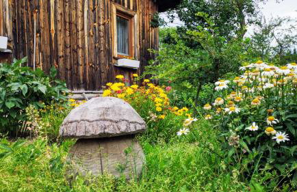 Wieś odNowa - Photo 42