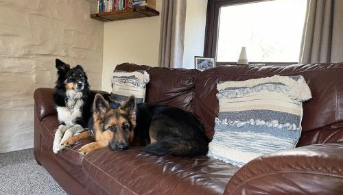 Rural, Secure Garden, Woodland Walks, 23 min to beach - Foto 4