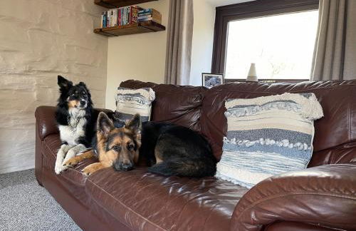 Rural, Secure Garden, Woodland Walks, 23 min to beach - Foto 4