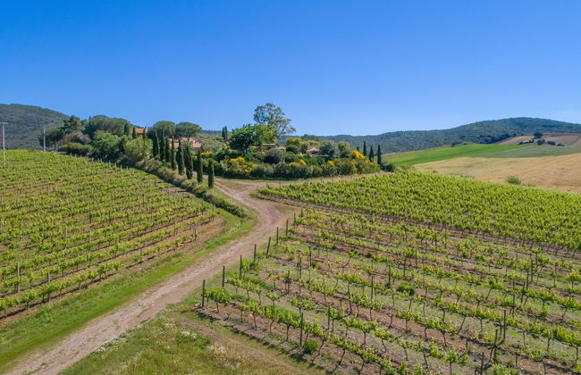 Agriturismo Torribasse - Foto 26