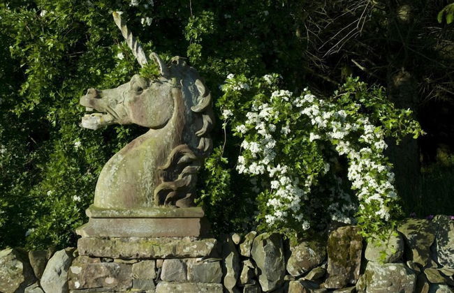 Orroland Lodge - Foto 32