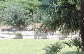 Agriturismo Pastorelli - Foto 7