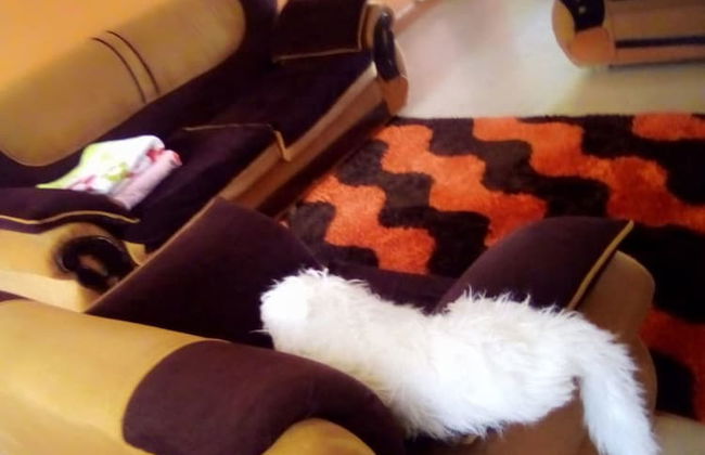 Lilys Homestay - Foto 12