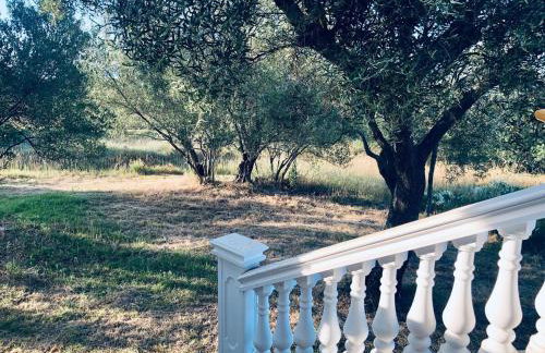 Villa Bonaca - Photo 20