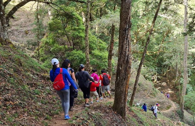 Macho Mora Mountain Lodge - Foto 28