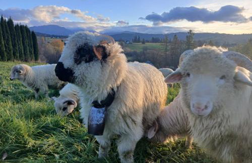 Tatra West Farm - Foto 50