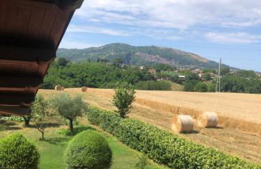 Dreams Valley - Foto 20