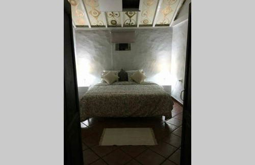 Finca Lomo Grande - Foto 31