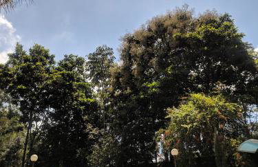 Rancho Fundo - Foto 9