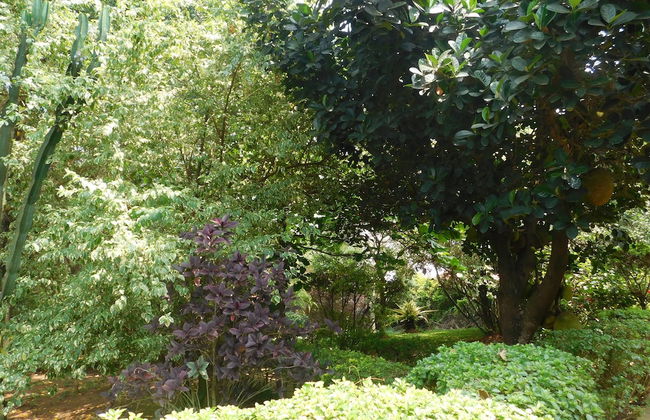 Soho Greens Apartments Apt 3 - Foto 13